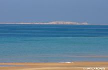 Private Dune and Secret Spot Tour in Dakhla
