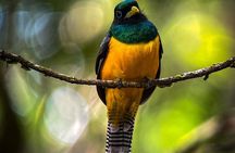 Full Day Tour Corcovado National Park.