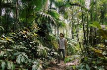 Cloud Forest Sanctuary Jungle Tour