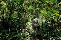 Cloud Forest Sanctuary Jungle Tour
