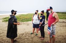 Olive Ridley Turtle Release Experience