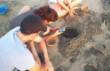 Olive Ridley Turtle Release Experience