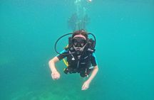 [GROUP] SCUBA DIVING For Beginners in Phu Quoc Island (TRY DIVE)