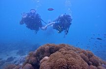 [GROUP] SCUBA DIVING For Beginners in Phu Quoc Island (TRY DIVE)