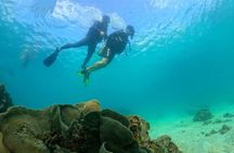 [GROUP] SCUBA DIVING For Beginners in Phu Quoc Island (TRY DIVE)