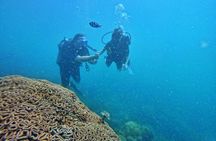 [GROUP] SCUBA DIVING For Beginners in Phu Quoc Island (TRY DIVE)