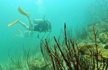 [GROUP] SCUBA DIVING for Certified Divers in Phu Quoc Island