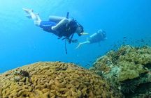 [GROUP] SCUBA DIVING for Certified Divers in Phu Quoc Island
