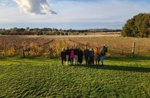 Full-Day Canberra Brewery, Wineries & Distillery tour /w lunch