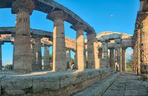Paestum Traditions, Buffaloes, Ceramics, Temples