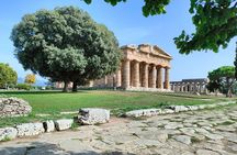 Paestum Traditions, Buffaloes, Ceramics, Temples