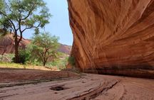 3 hour Private Tour in Chinle