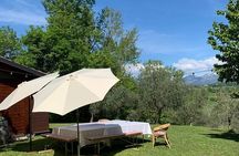 Premium Private Prosecco Hills Tour - 2 Wineries. Private tour.