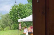 Premium Private Prosecco Hills Tour - 2 Wineries. Private tour.