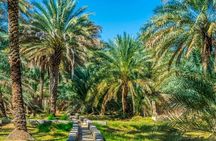 Private Al Ain Tour by 4x4 Vehicle with Zoo Tickets 