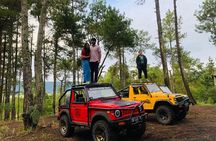 Mount Batur Sunrise Jeep, Waterfall & Rice Terrace