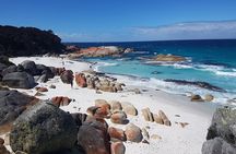 4 Day Tour through Wild Tasmania