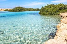 White Island & Ras Mohamed Boat Trip & Diving , lunch from Sharm