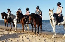 2-Hour Beach & Desert Horse Riding Experience in Hurghada