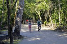 Private Half Day Tour to Coba Archaeological Zone and Cenote