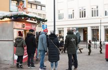 2-Hour Reykjavik Private Walking Tour