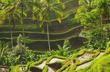 Full-Day Private and Guided Tour Around Ubud