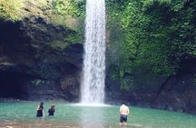 Full-Day Private and Guided Tour Around Ubud