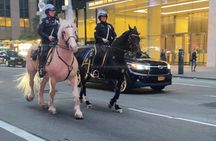 Late Tour Crime in New York