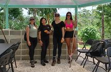 AWA Water Museum - Waterfall Adventure (Organic Food Experience)