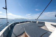 Private Speedboat Tour to Rovinj Islands and South Coves