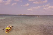Sea Glass Island Sunset Kayak Tour