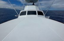 Half Day Morning Fishing Charter 