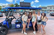 Tampa Heights Private Brewery Tour by Custom Golf Cart