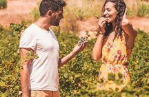 Minoan Luxuries: Ancient Palaces, Messara Wine Routes & Matala