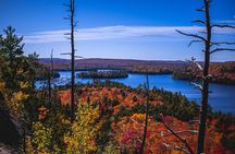 Algonquin Provincial Park Full Day Trip