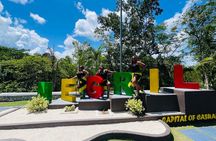  Negril Glass Bottom Boat Tour+Snorkeling visit Booby cay island 