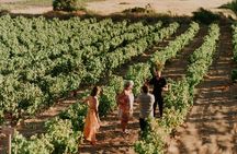 Kostantakis Winery - Milos Island Tour & Wine Tasting Experience