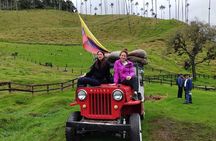 Cocora Valley and Salento Hike Tour 