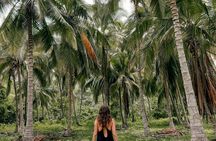 Tayrona Park Hike Tour to Cabo San Juan: Private or Shared