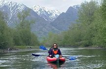 Half-Day Guided Kayak Tour on Knik River