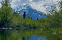 Half-Day Guided Kayak Tour on Knik River