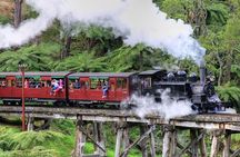 Puffing Billy And Phillip Island Penguin Parade Bus Tour
