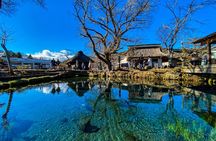 MT. FUJI/ Private Tour delivered and guided by a top-tier driver