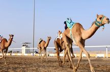West Of Qatar, Mushroom Rocks, Camel Racing Track, Richard Serra 