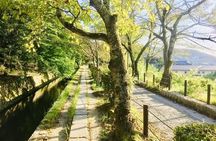 Full-Day Private Guided Tour to Kyoto Temples