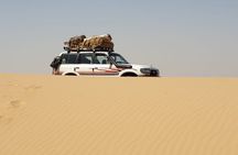 All inclusive Safari trip white & black desert oasis from Cairo 
