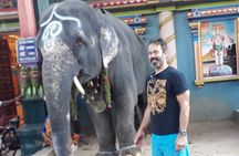 French Toast - A Classic Moto Tour To Pondicherry