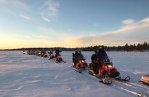 Easy Snowmobile Safari