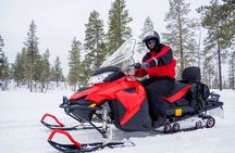 Easy Snowmobile Safari