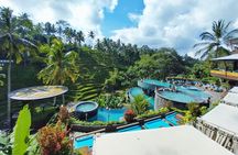 Cretya Ubud Tours 
